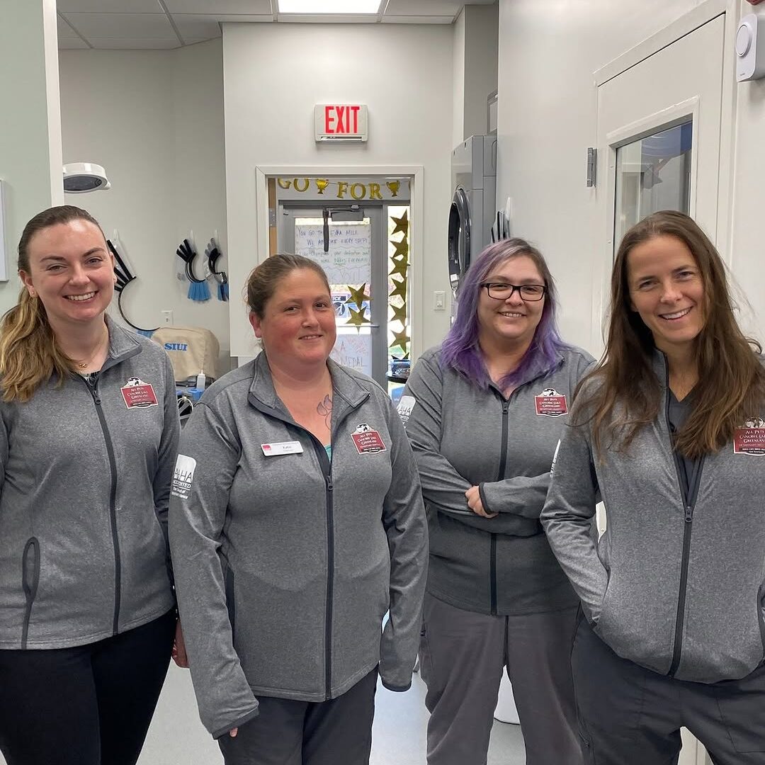 Four Vet Assistants Four Vet Assistants For Greenland Veterinary Hospital