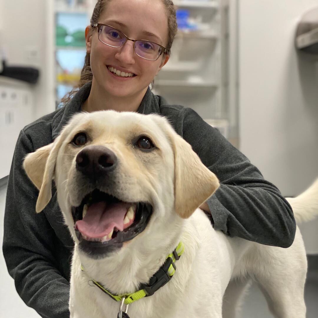 white Labrador and veterinary technician smiling at camera