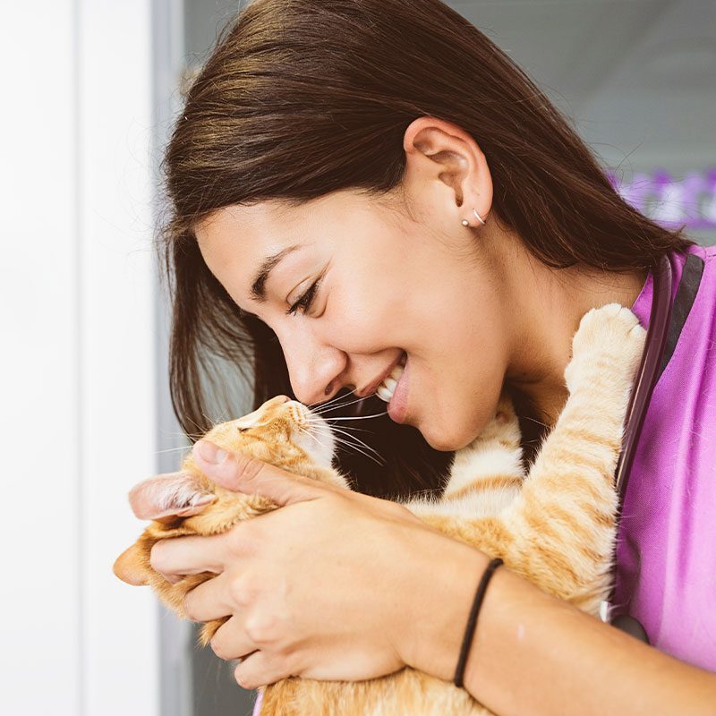 female veterinarian hugging orange striped cat